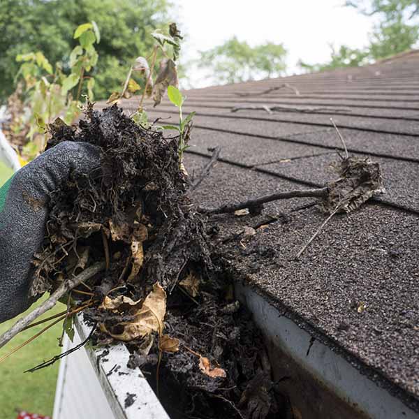 professional with gloves cleaning debris out of gutter