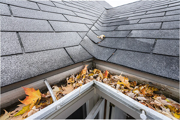 leaves dirt and other debris inside of gutter of home