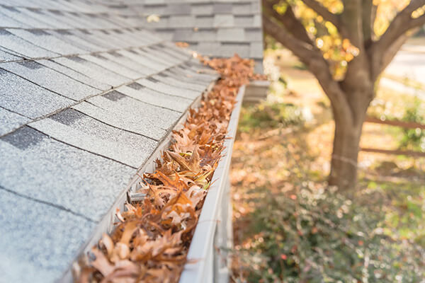 leaves and debris inside of gutter on home