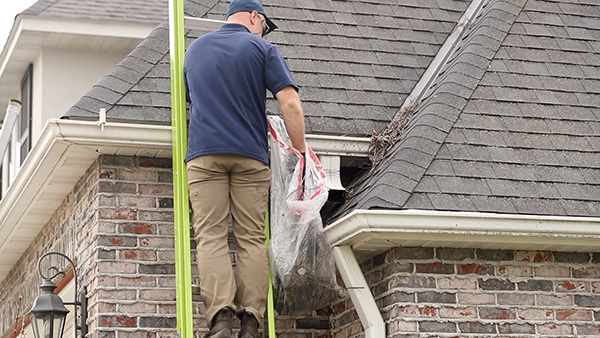 professional in blue shirt standing on ladder and cleaning debris and dirt out of gutters