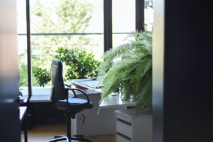 spot free windows
